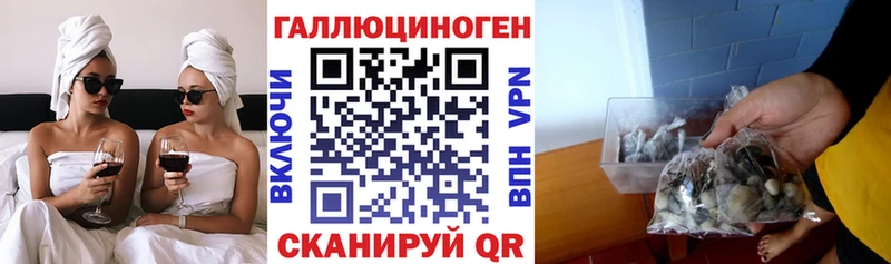 Галлюциногенные грибы Psilocybine cubensis  Коломна 